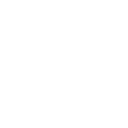 Google Reviews